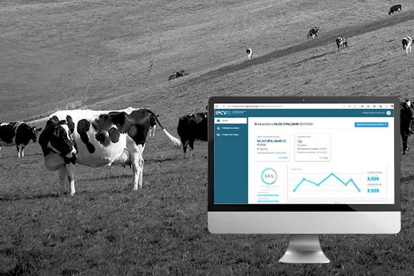 Una laptop mostrando un sistema de datos está en primer plano, con ganado pastando en el fondo, simbolizando la integración de tecnología en el procesamiento de carne.
